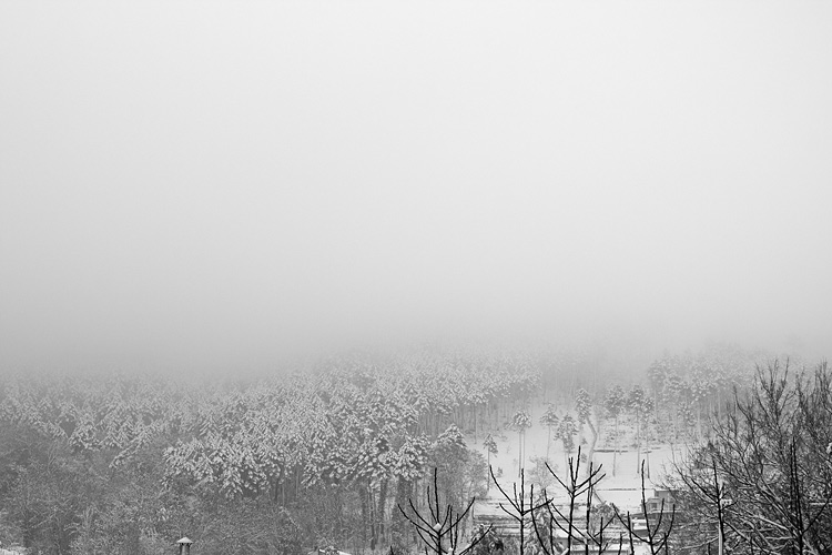 _MG_4734.jpg