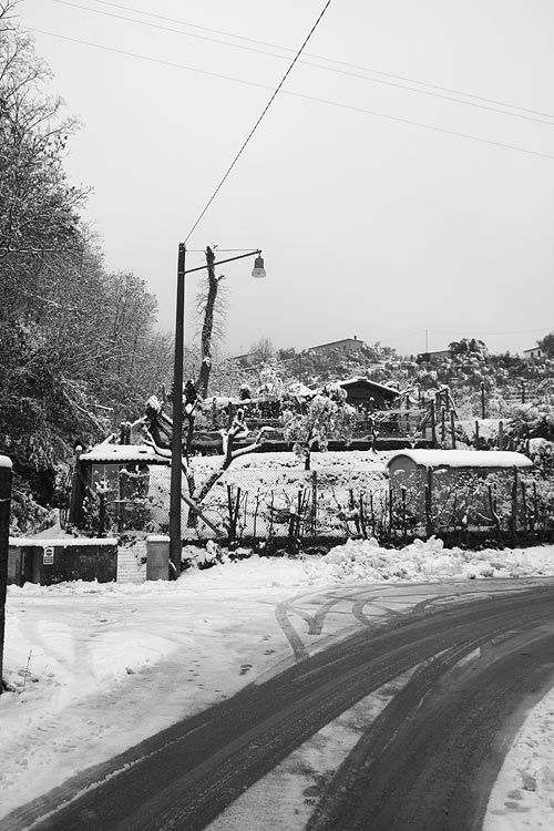 _MG_4735.jpg