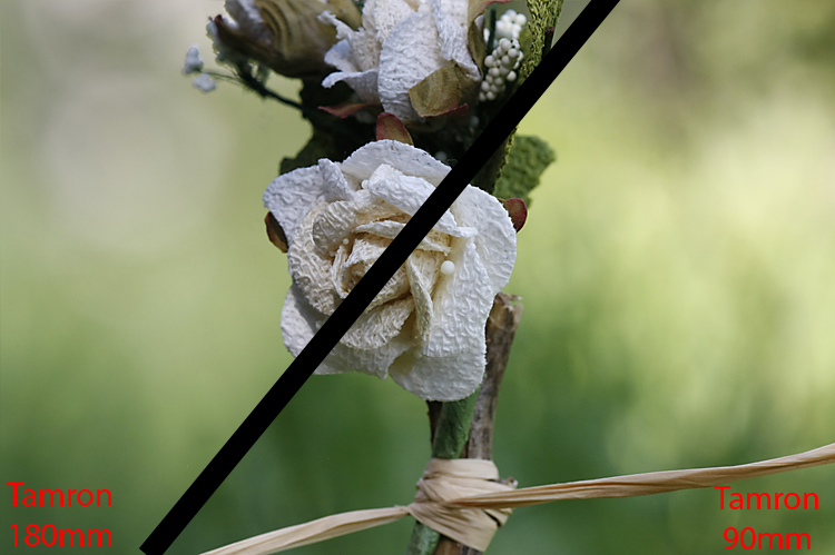 _MG_5006.jpg