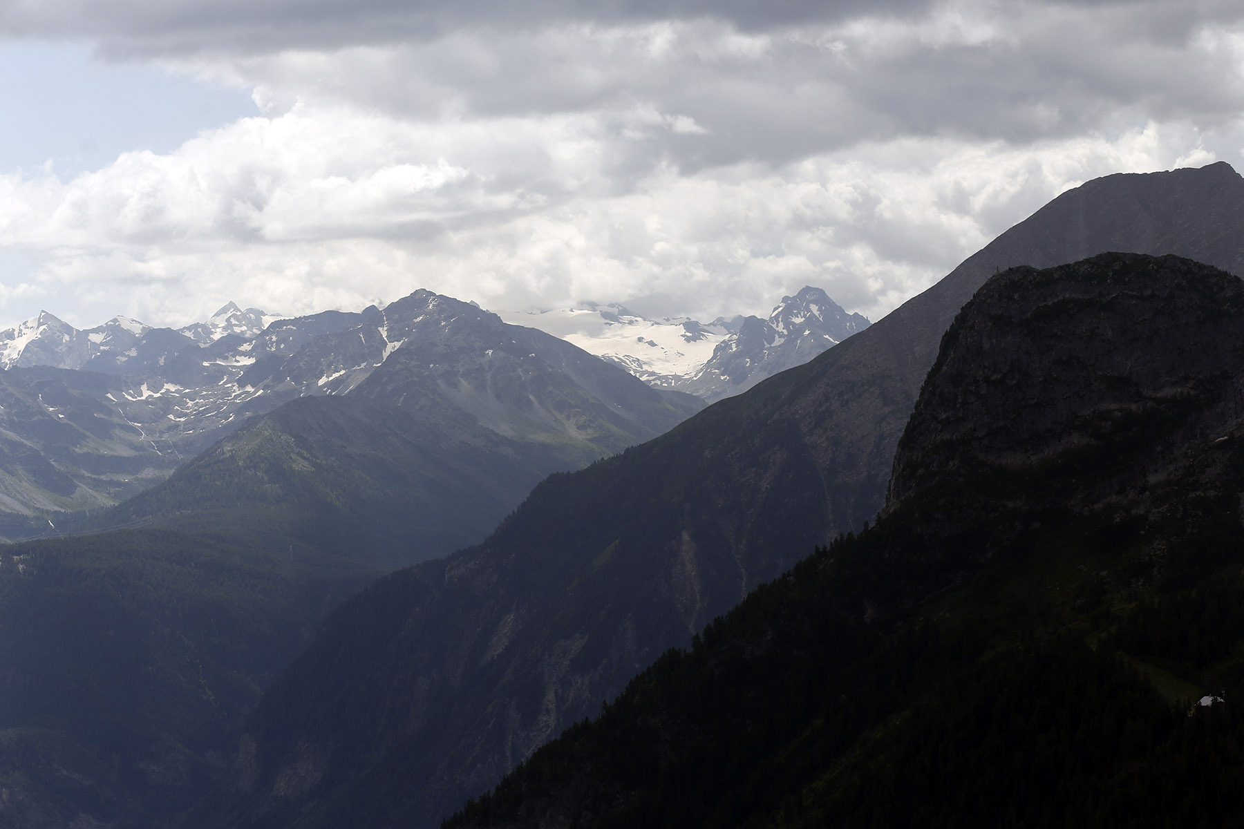 _MG_5007.jpg