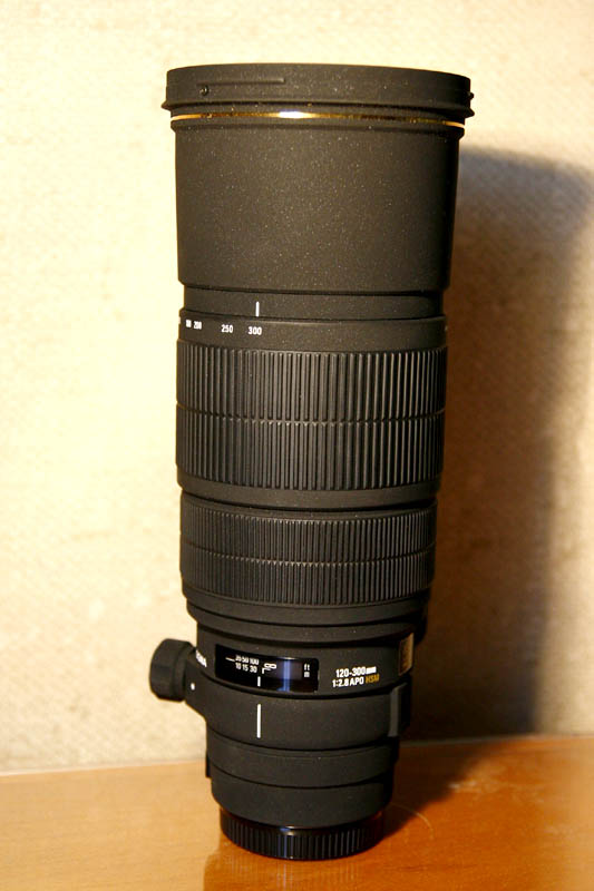 _MG_5065.jpg