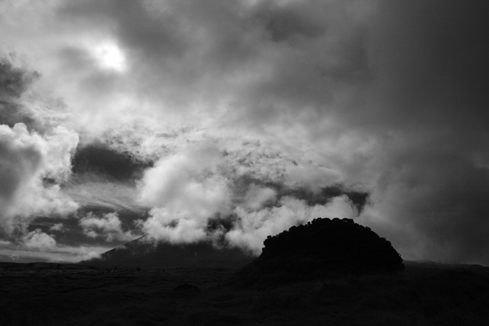 _MG_5106.jpg