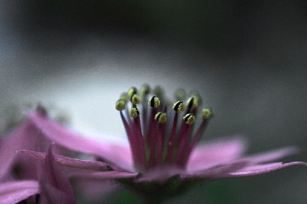 _MG_5172b.jpg