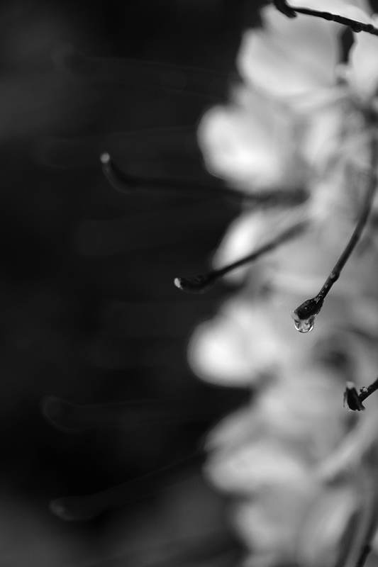_MG_5174.jpg