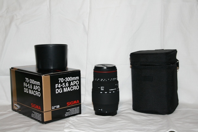 _MG_5207.JPG