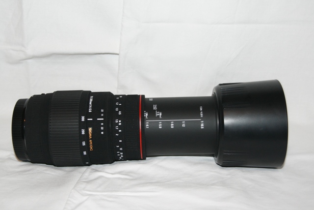 _MG_5208.JPG
