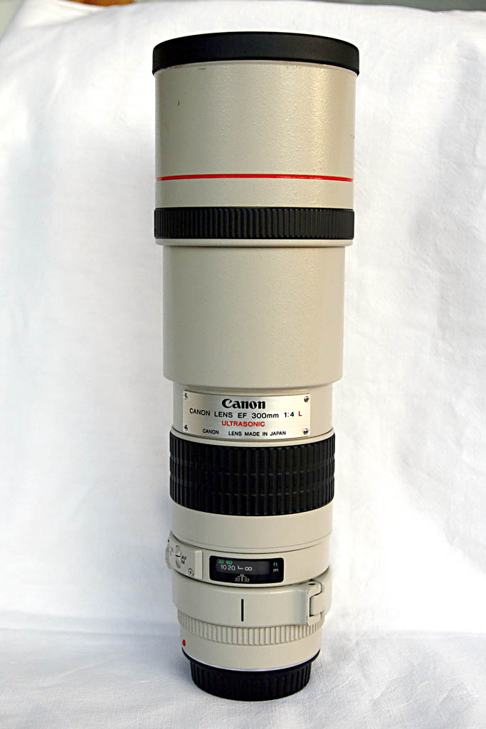 _MG_5310.JPG
