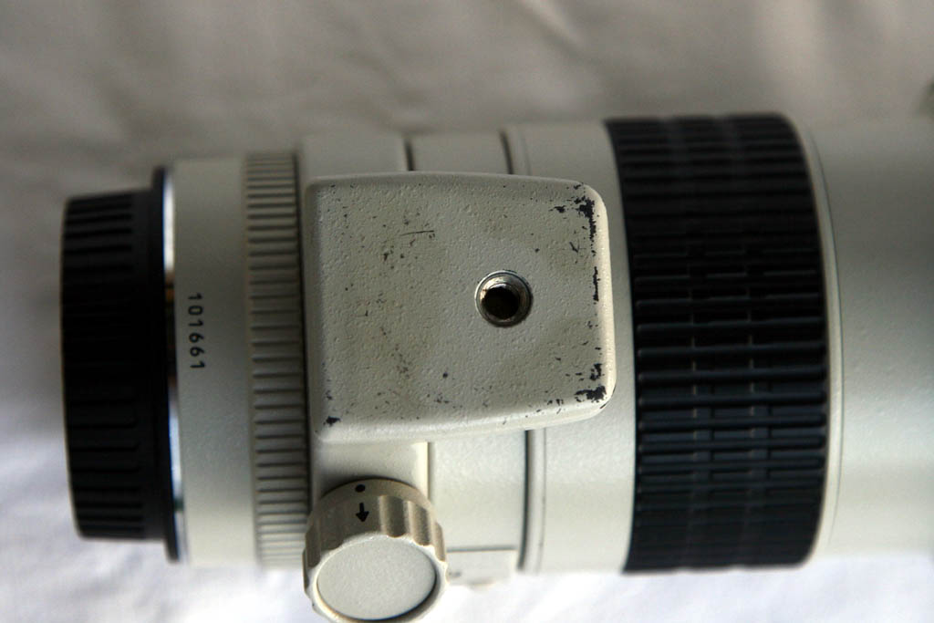 _MG_5315.JPG