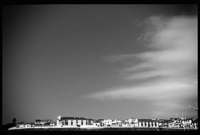 _MG_5342.jpg