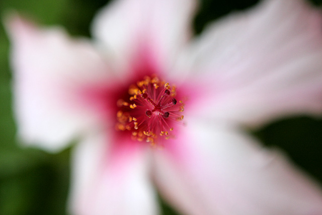 _MG_5553.jpg