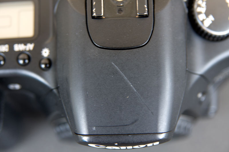 _MG_5698.jpg
