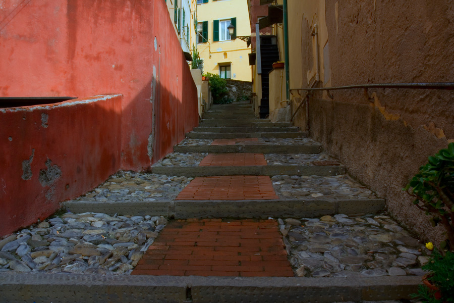 _MG_5730.jpg