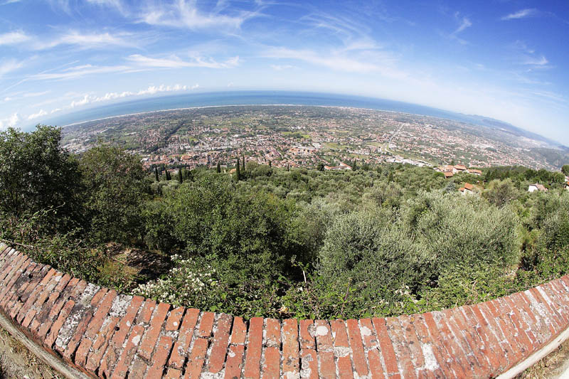 _MG_5763.jpg