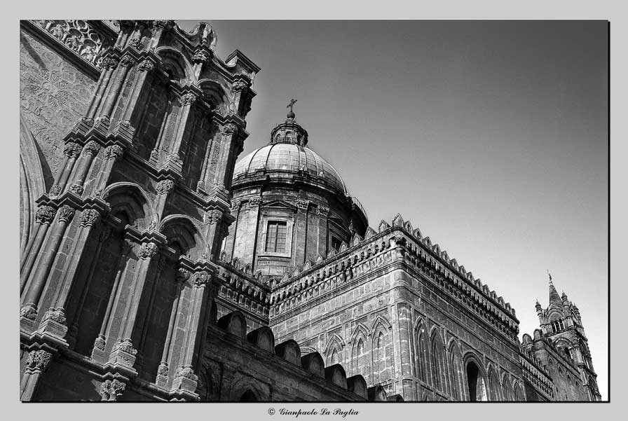 _MG_5806t.jpg