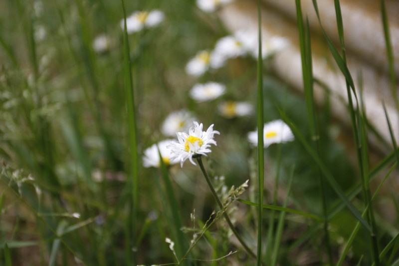 _MG_6038.JPG