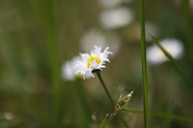 _MG_6044.JPG