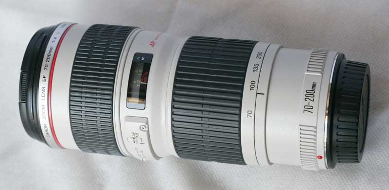 _MG_6055.jpg