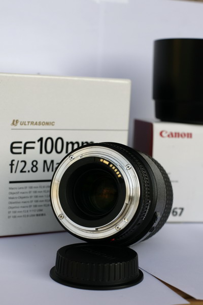 _MG_6232_ridimensionare.JPG