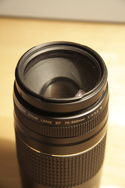 _MG_6267.JPG