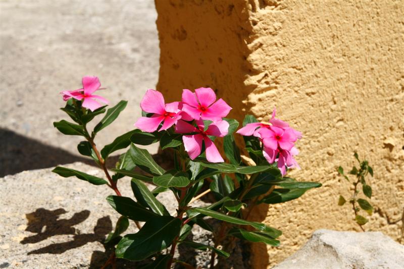 _MG_6405.JPG