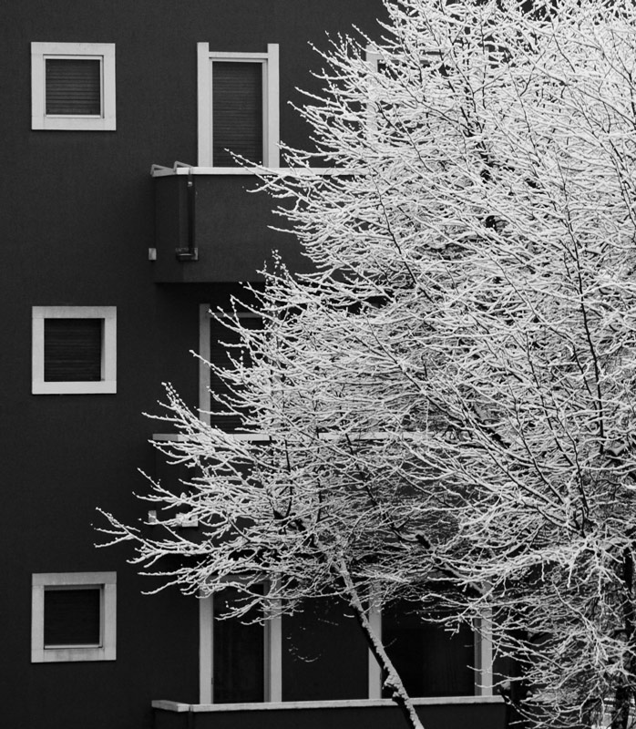 _MG_6417-alle.jpg