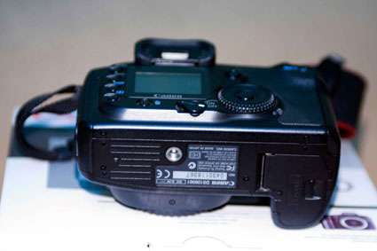 _MG_6560.jpg