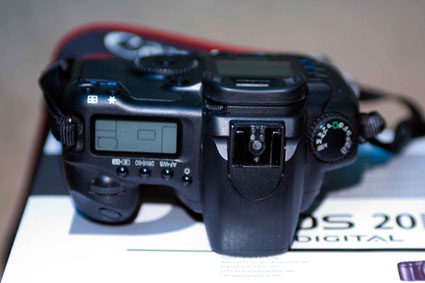 _MG_6562.jpg