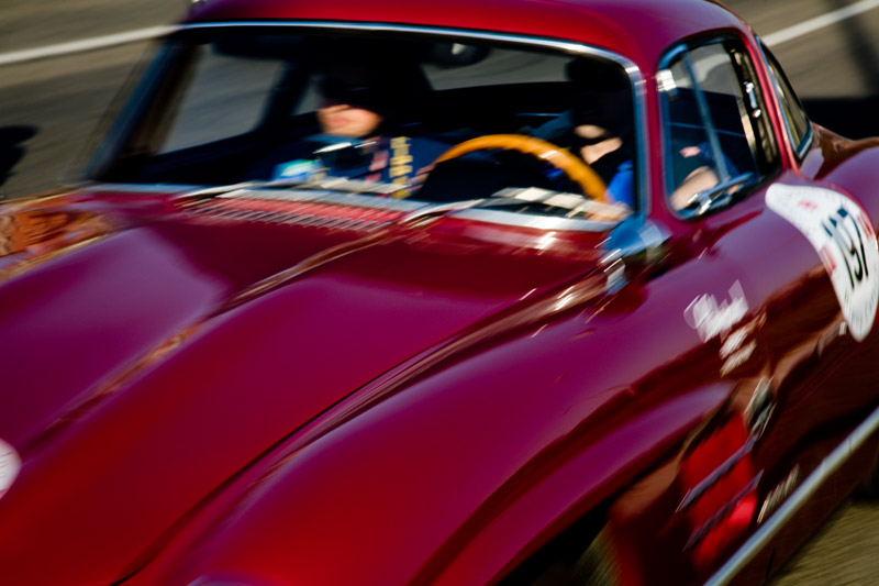 _MG_6563.jpg