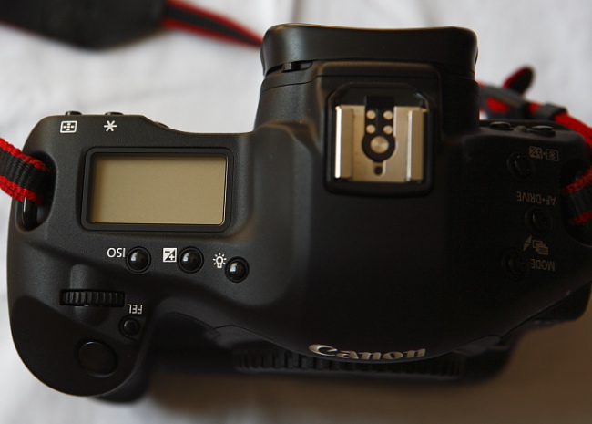 _MG_6753.JPG