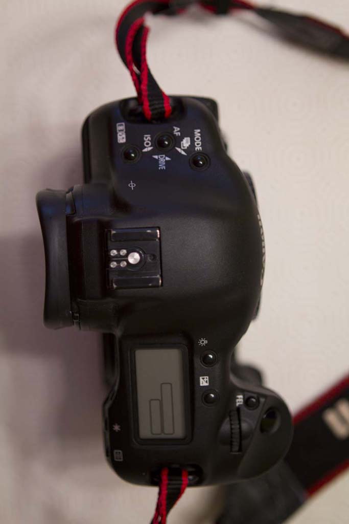 _MG_6770rid.jpg