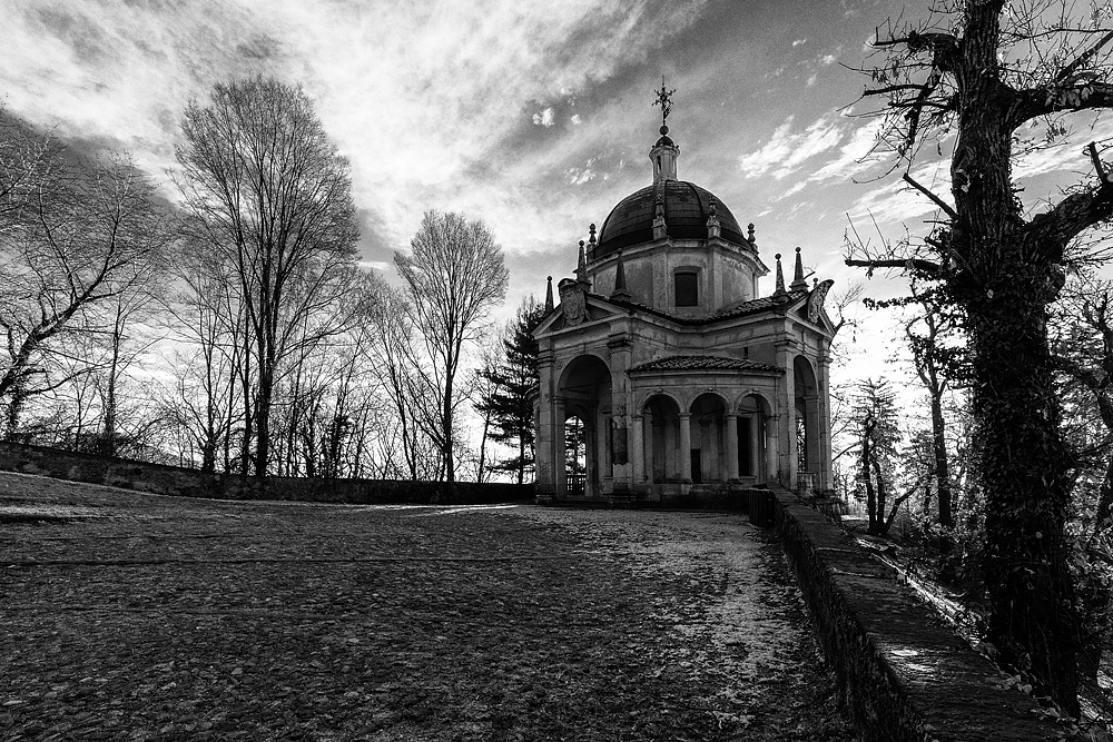 _MG_6849bn.jpg