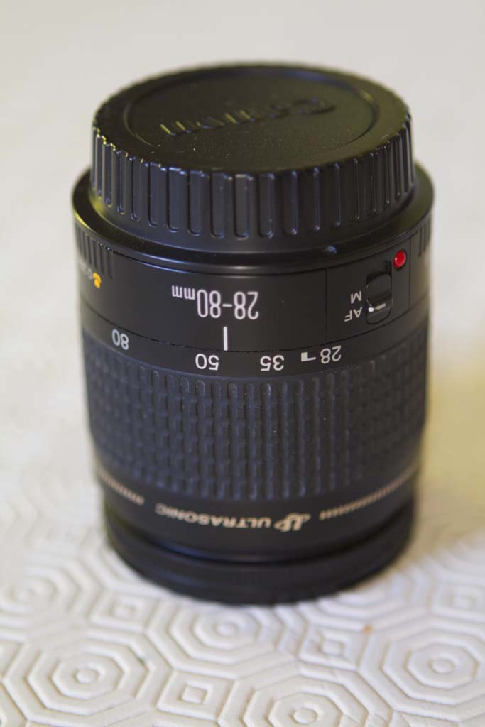 _MG_7060.jpg