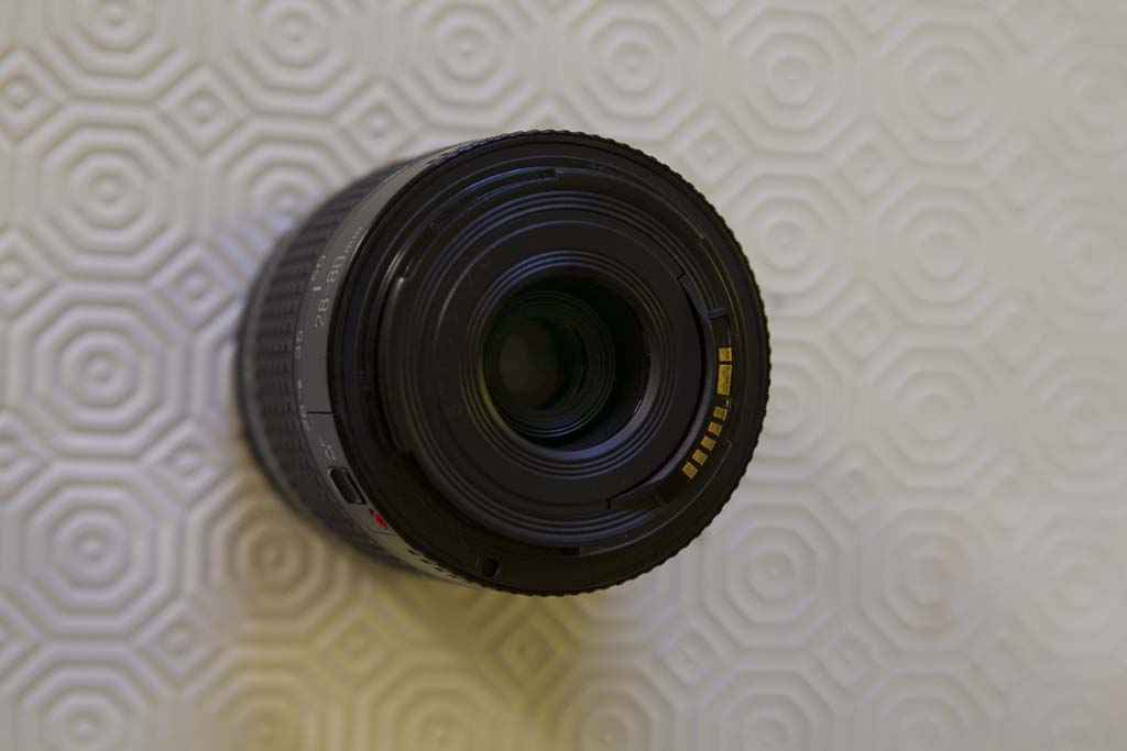 _MG_7061.jpg