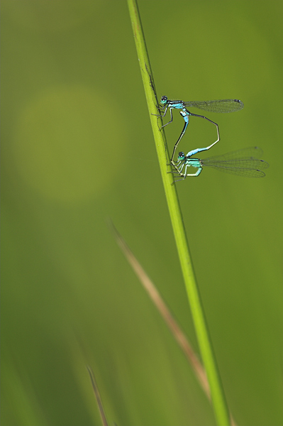 _MG_7742-01.jpg