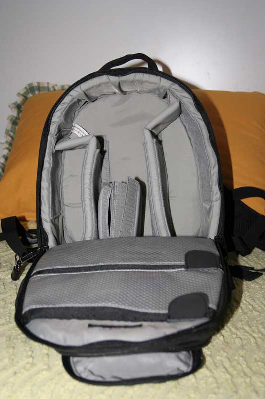 _MG_7789.jpg