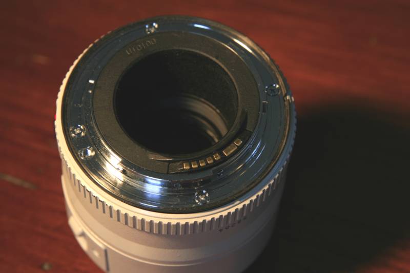 _MG_7891.JPG
