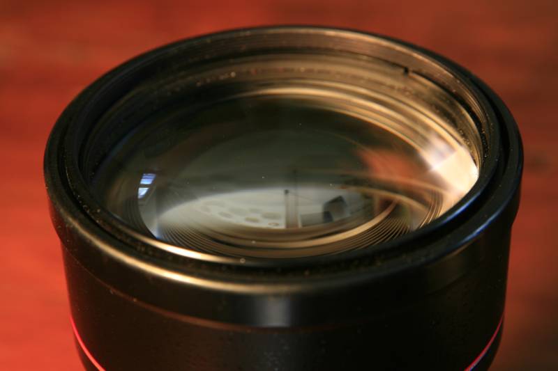 _MG_7901.JPG