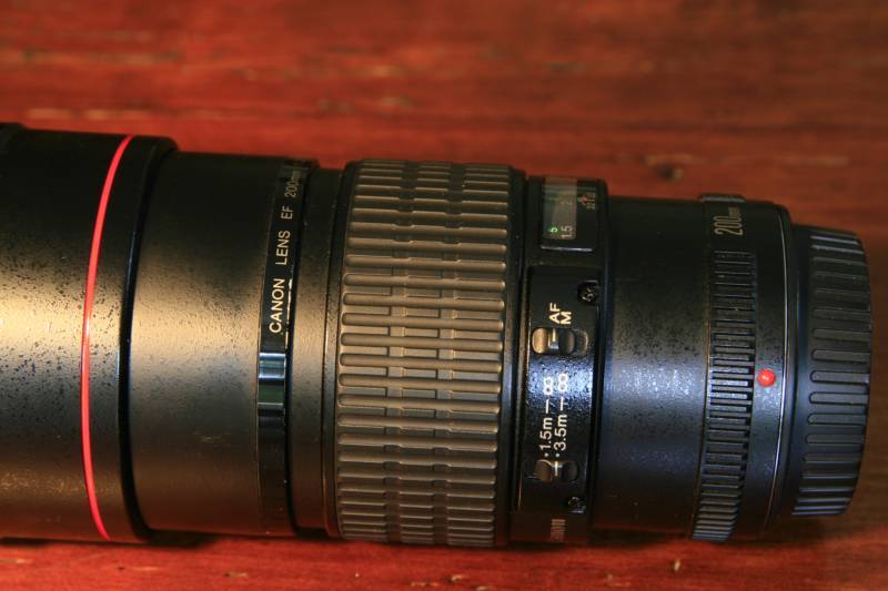 _MG_7902.JPG