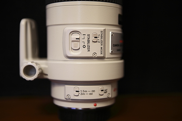 _MG_7954.JPG
