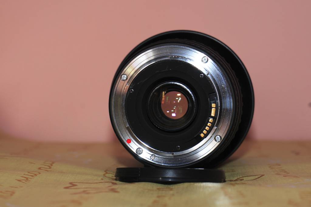 _MG_8017.JPG