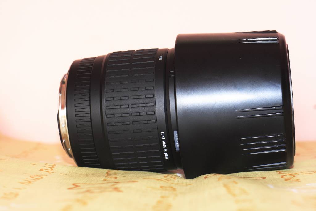 _MG_8018.JPG