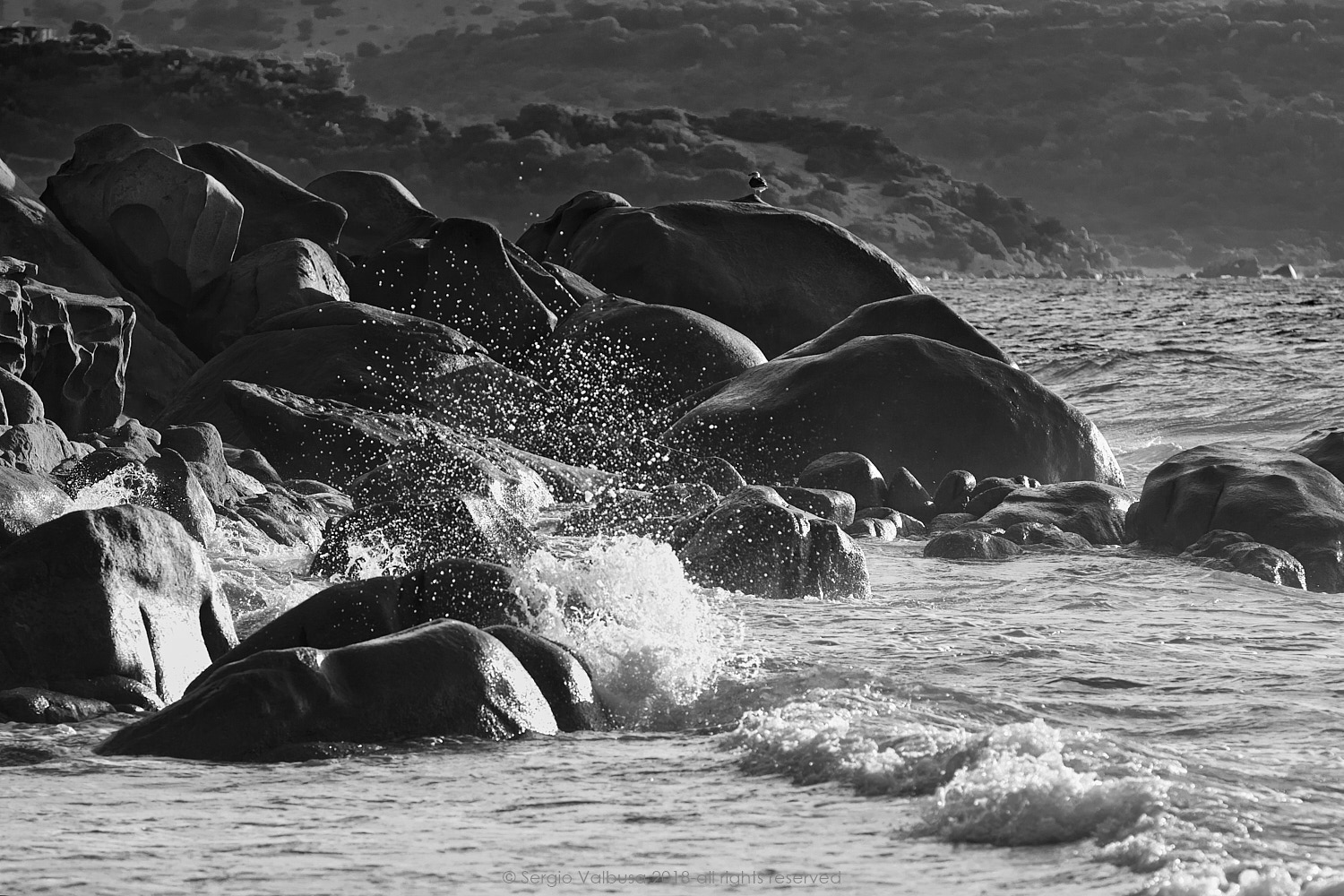 _MG_8153 4.jpg