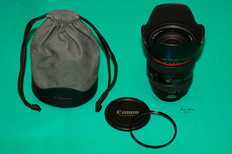_MG_8184.jpg