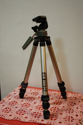 _MG_8254.JPG