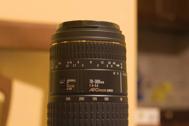 _MG_8498.jpg