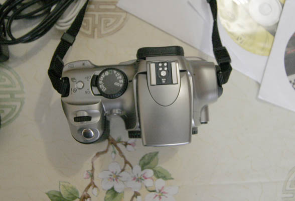 _MG_8518.jpg