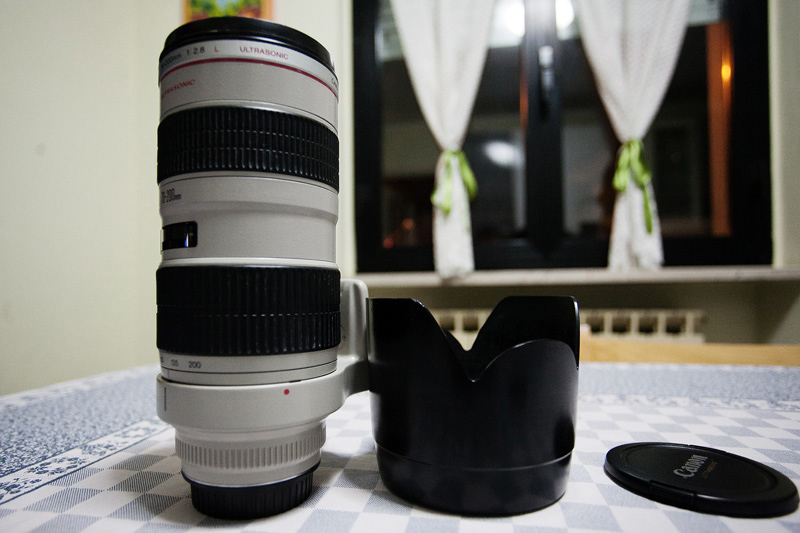 _MG_8597.jpg