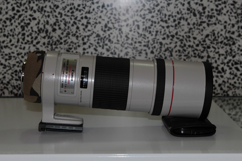 _MG_8775.JPG