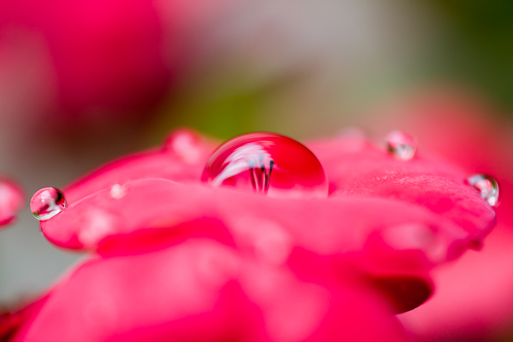_MG_8813.jpg