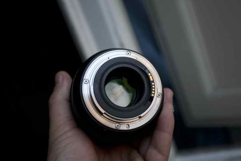 _MG_9385.JPG